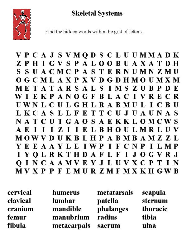 Bluebonkers Free Printable Word Search Sheet Skeletal System